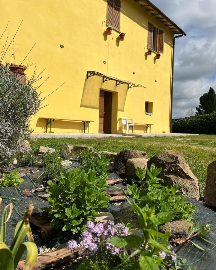 Casale La Valle Del Tevere Ponte Pattoli Dış mekan fotoğraf